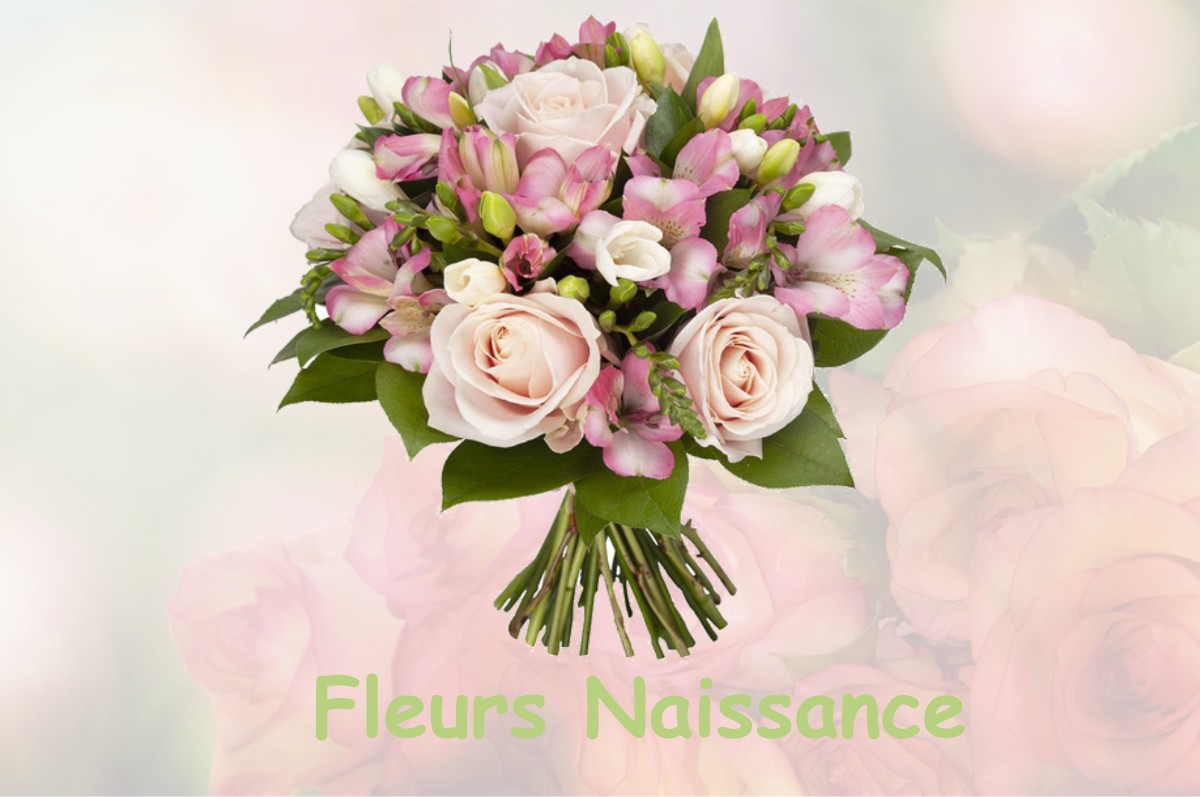 fleurs naissance VILLENAVE