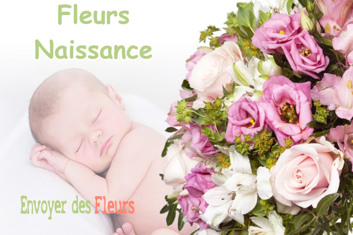 lIVRAISON FLEURS NAISSANCE à VILLENAVE