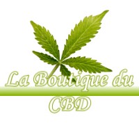 LA BOUTIQUE DU CBD VILLENAVE 